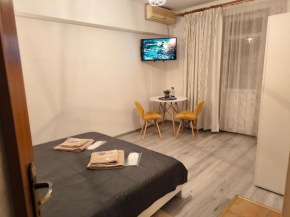 Old Town Studio - Victoriei 3